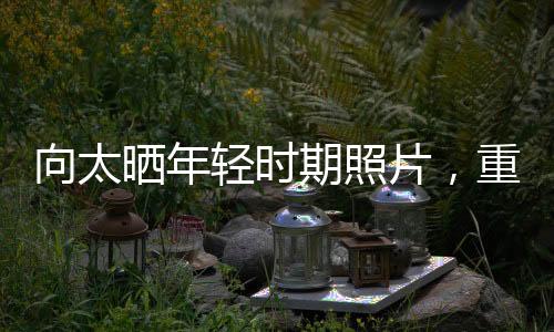 向太曬年輕時(shí)期照片，重溫黃金歲月的美好回憶