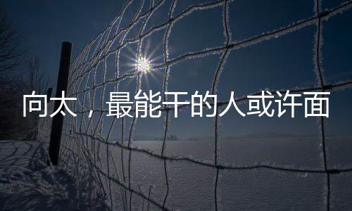 向太，最能干的人或許面臨最大的挑戰(zhàn)與命運曲折