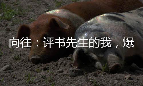 向往：評書先生的我，爆火全網(wǎng)！