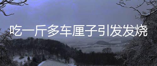 吃一斤多車?yán)遄右l(fā)發(fā)燒事件，深度分析與提醒