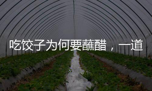 吃餃子為何要蘸醋，一道中華美食文化的深度解讀