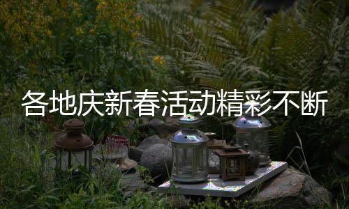 各地慶新春活動精彩不斷，歡慶氛圍持續(xù)蔓延