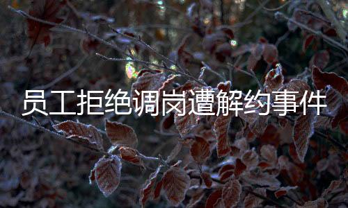 員工拒絕調(diào)崗遭解約事件，深度解析與反思