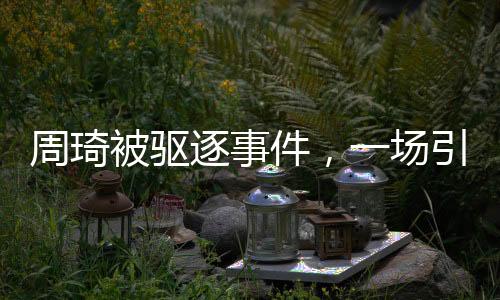 周琦被驅(qū)逐事件，一場引發(fā)廣泛關(guān)注的體育爭議