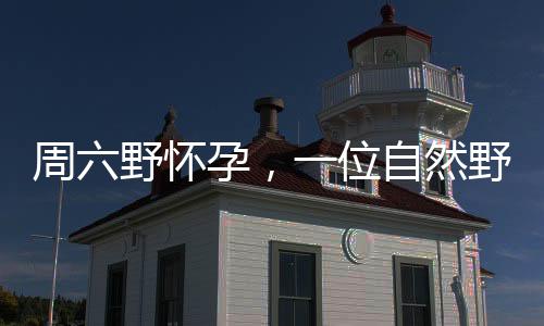 周六野懷孕，一位自然野生攝影師的奇妙生活之旅