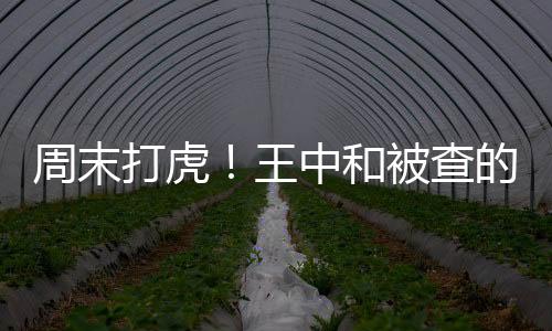 周末打虎！王中和被查的深度解讀
