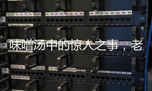 味噌湯中的驚人之事，老鼠尸體意外發(fā)現(xiàn)，食品安全再敲警鐘