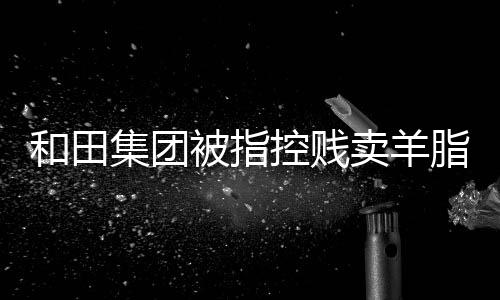 和田集團被指控賤賣羊脂玉手鐲——真相揭示背后的謠言