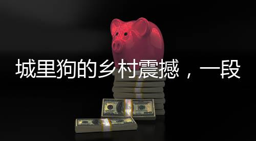 城里狗的鄉(xiāng)村震撼，一段走進(jìn)自然的全新體驗之旅