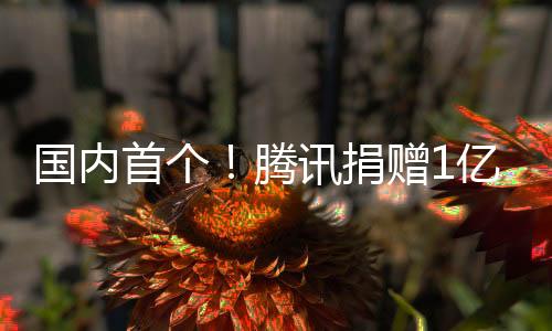 國內(nèi)首個(gè)！騰訊捐贈(zèng)1億元 讓文物真正“活”過來