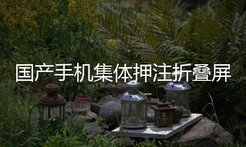 國產(chǎn)手機集體押注折疊屏，路走對了嗎？