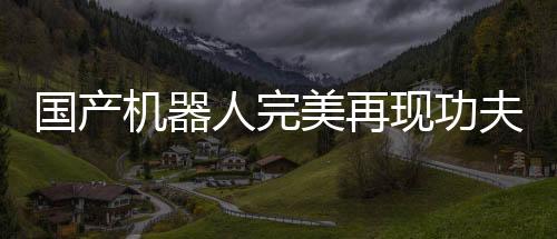 國產(chǎn)機(jī)器人完美再現(xiàn)功夫經(jīng)典舞蹈動作，科技與藝術(shù)的融合展現(xiàn)無盡魅力
