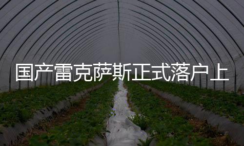 國產(chǎn)雷克薩斯正式落戶上海，引領(lǐng)豪華汽車市場新篇章