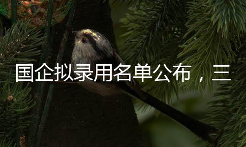 國(guó)企擬錄用名單公布，三名本科生引發(fā)社會(huì)熱議