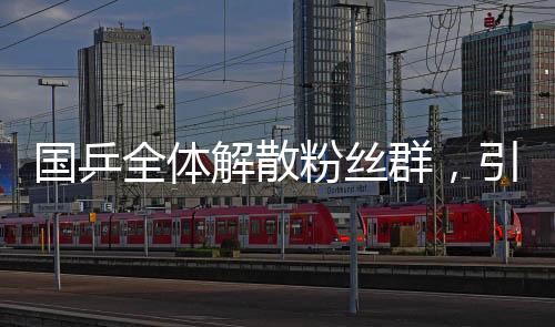 國乒全體解散粉絲群，引發(fā)廣泛關(guān)注和熱議