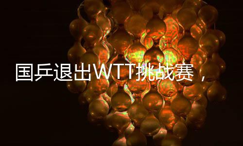 國乒退出WTT挑戰(zhàn)賽，戰(zhàn)略調(diào)整還是暫時休整？