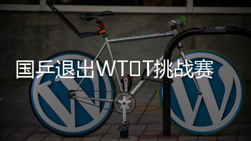 國(guó)乒退出WT?T挑戰(zhàn)賽——背后的決策考量與挑戰(zhàn)