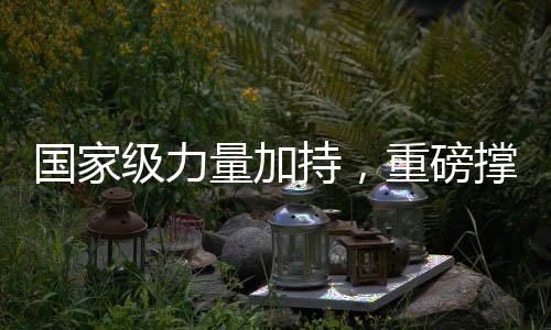國家級力量加持，重磅撐腰計(jì)劃正式落地實(shí)施