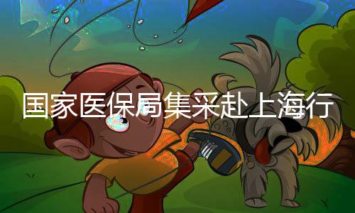 國(guó)家醫(yī)保局集采赴上海行動(dòng)順利結(jié)束，已順利返京