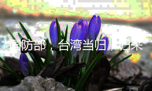國防部，臺(tái)灣當(dāng)歸，歸來天地寬