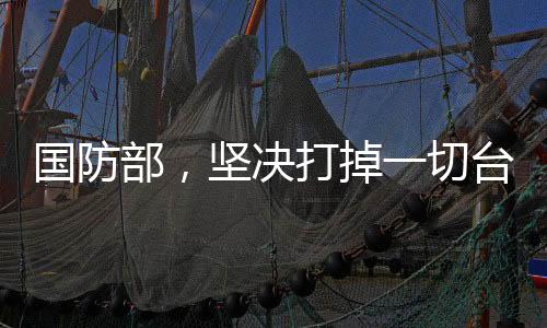 國防部，堅決打掉一切臺獨分裂圖謀