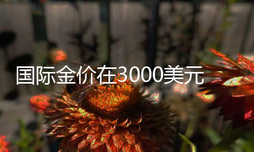 國際金價在3000美元關口上演多空對決