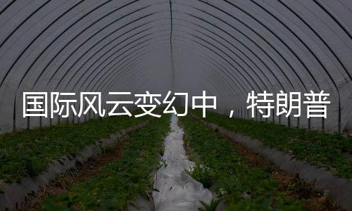 國際風(fēng)云變幻中，特朗普、普京與澤連斯基的停戰(zhàn)談判之路