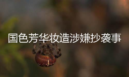 國色芳華妝造涉嫌抄襲事件調查