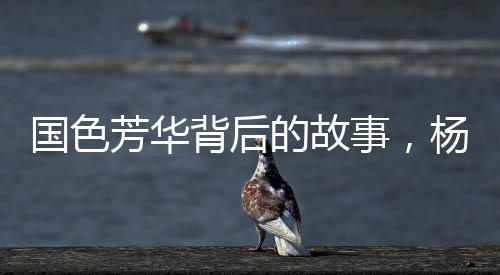 國色芳華背后的故事，楊紫嘴角的小紅點之謎