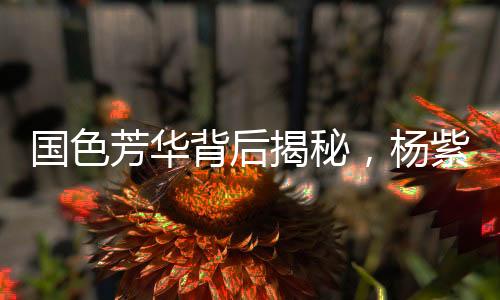 國(guó)色芳華背后揭秘，楊紫嘴角神秘小紅點(diǎn)故事