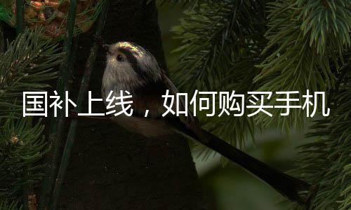 國(guó)補(bǔ)上線，如何購(gòu)買(mǎi)手機(jī)最劃算？一篇教你掌握技巧的文章