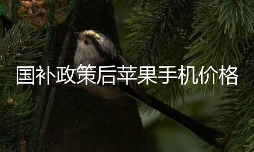 國(guó)補(bǔ)政策后蘋(píng)果手機(jī)價(jià)格驟降，跌破三千大關(guān)
