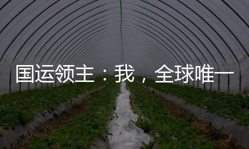 國(guó)運(yùn)領(lǐng)主：我，全球唯一充值玩家