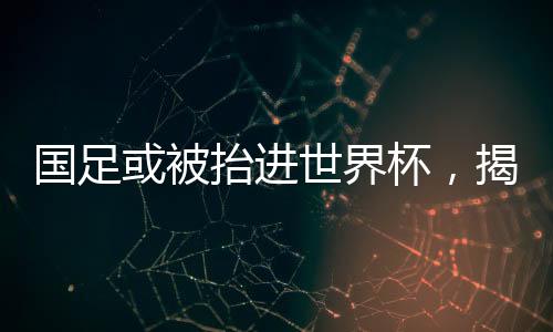 國足或被抬進世界杯，揭秘中國足球的新希望與挑戰(zhàn)