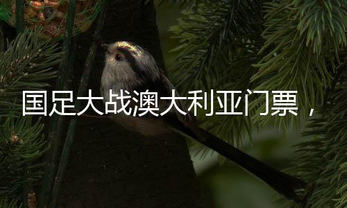 國(guó)足大戰(zhàn)澳大利亞門(mén)票，6分鐘售罄，球迷熱情空前