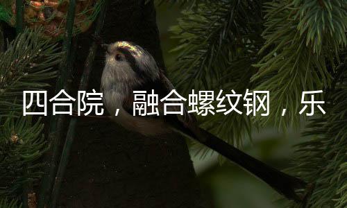 四合院，融合螺紋鋼，樂瘋婁小娥