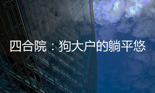 四合院：狗大戶的躺平悠閑生活！
