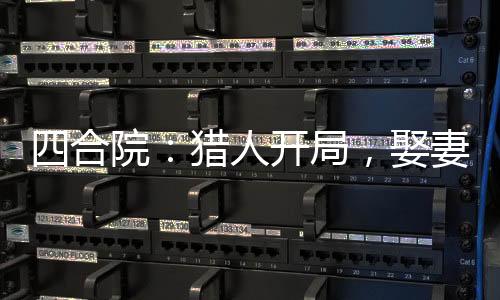 四合院：獵人開局，娶妻白玲