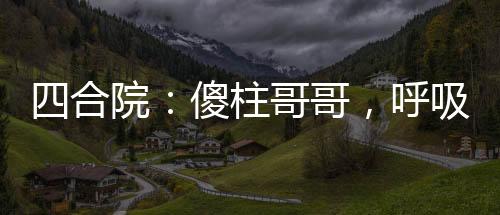 四合院：傻柱哥哥，呼吸就變強(qiáng)！