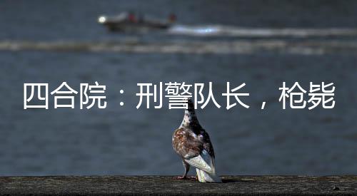 四合院：刑警隊長，槍斃眾禽