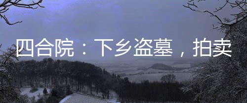 四合院：下鄉(xiāng)盜墓，拍賣諸天萬(wàn)界