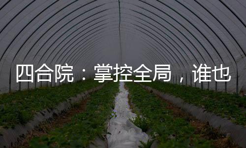 四合院：掌控全局，誰也別惹我！