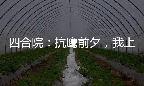 四合院：抗鷹前夕，我上交雙穿門