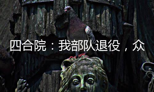 四合院：我部隊退役，眾禽倒大霉