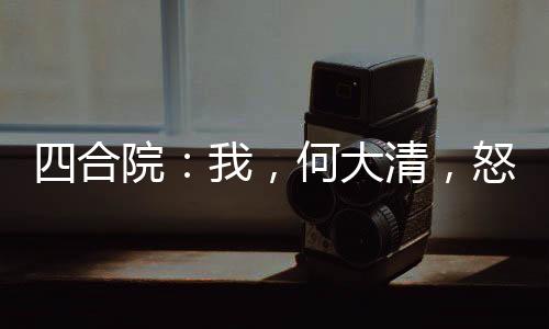 四合院：我，何大清，怒抽易中海