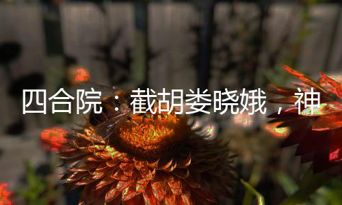四合院：截胡婁曉娥，神級(jí)工程師