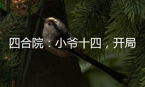 四合院：小爺十四，開局暴揍傻柱