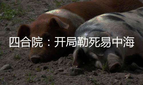 四合院：開(kāi)局勒死易中海，殺光了