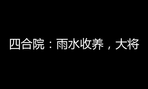 四合院：雨水收養(yǎng)，大將血脈曝光