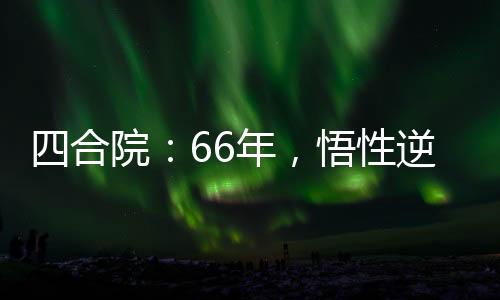 四合院：66年，悟性逆天我無敵